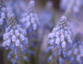 Q. 종합소득세 중간예납 고지서상 고지금액을 납기 내 완납할 수가 없는 사유가 발생하여 납기 연장신청을 하려고 하나, 담보제공이 필요하다 하여 일부는 세금포인트를 활용하고 부족한 차액은 부동산 담보를 제공하려 합니다.하나의 고지서상의 고지금액을 일부는 세금포인트를, 나머지는 부동산담보를 제공해도 되는 것인 것 궁금합니다.A. 국세징수법 제13조에 따른 납부기한 등의 연장신청 시에 납세담보를 제공해야 하는 경우, 세금포인트 1점당 100,000원(연간 5억원 한도)을 적용하여 납세담보를 면제할 수 있으며, 부족한 금액에 대해서는 국세징수법 제18조에서 규정하고 있는 담보를 추가로 제공할 수 있습니다.관련규정 : 국세징수법 제18조[담보의 종류 등]&nbsp;